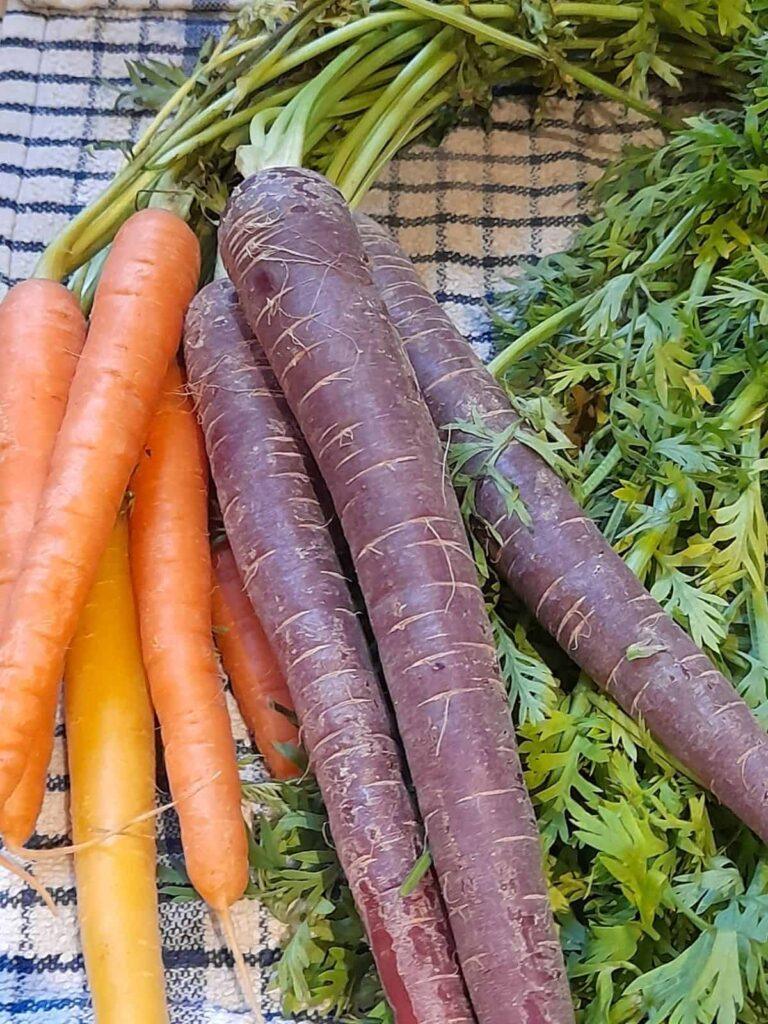 Seasonal Eating